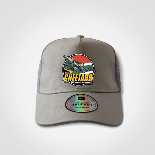 Flying Cheetahs Basic Cap